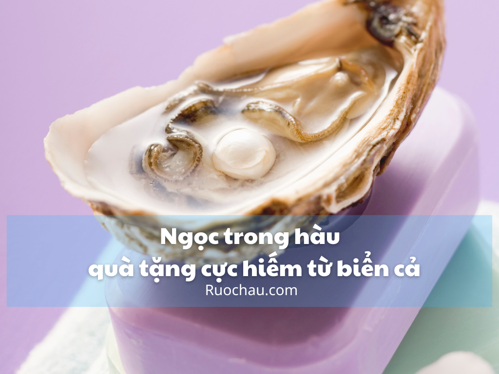 Ngọc trong hàu – quà tặng cực hiếm từ biển cả