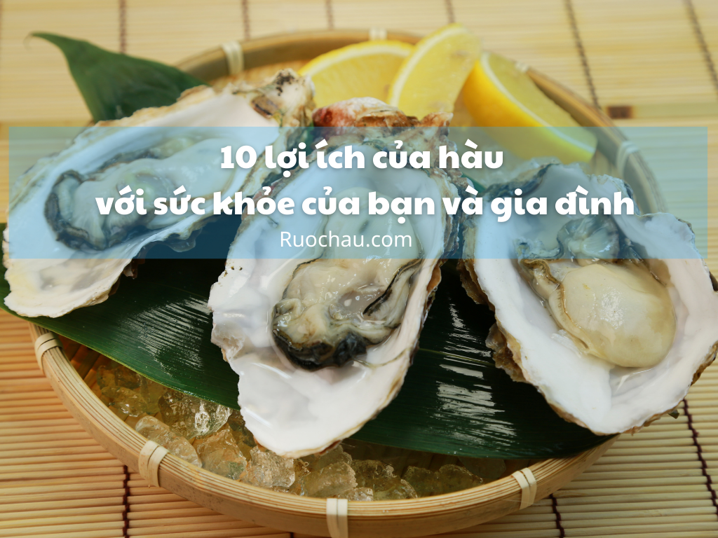 10 lợi ích của hàu với sức khỏe của bạn và gia đình