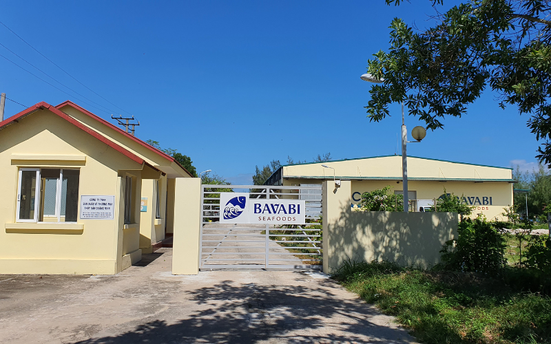 Tổng hợp các loại TPCN, thuốc làm từ hàu biển