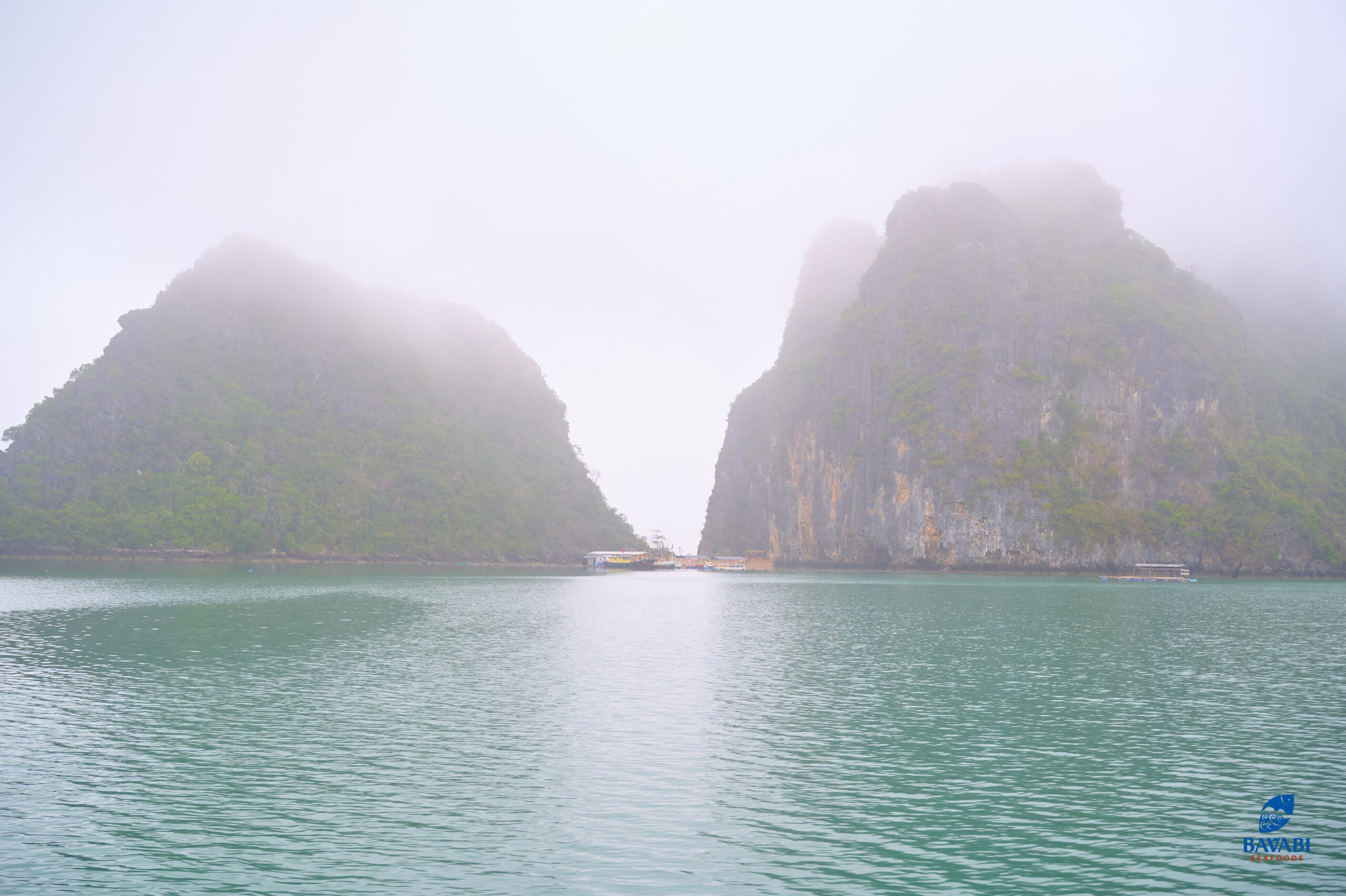 Vịnh Bái Tử Long
