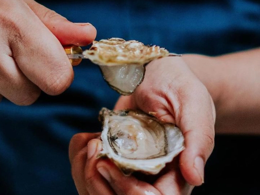 Quy trình sơ chế hàu sống an toàn